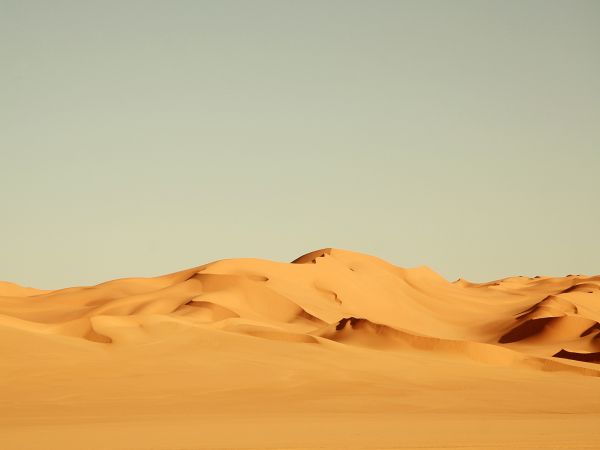 Desert brlant